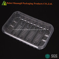 Rectangular plastic fruit packing tray